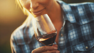 Closeup of unrecognizable adult woman tasting some red wine in a vineyard on a summer afternoon. She's smelling the wine with a little smirk on her lips cause this wine is really good. Very shallow focus.